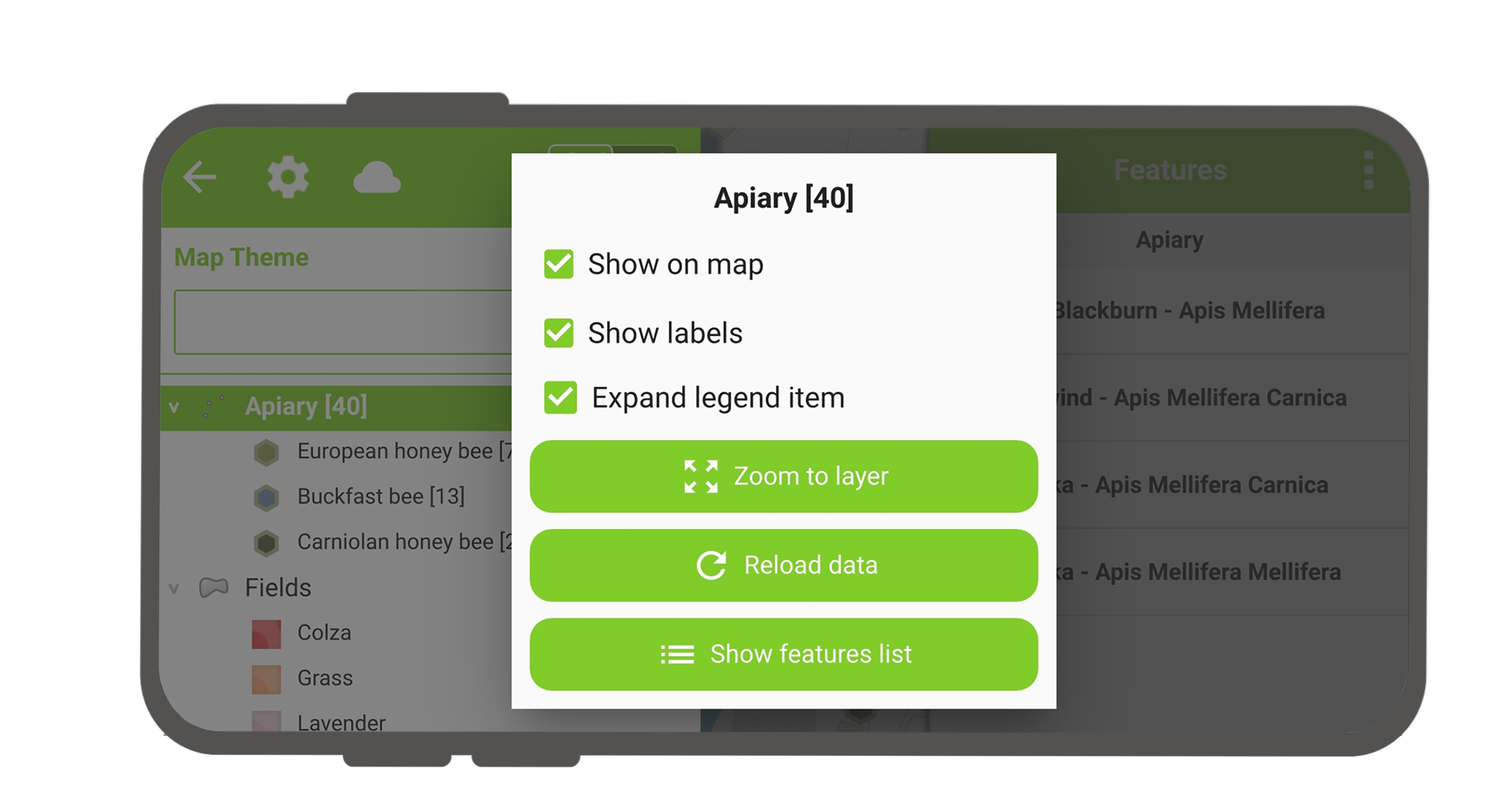 How To Map Address In Excel